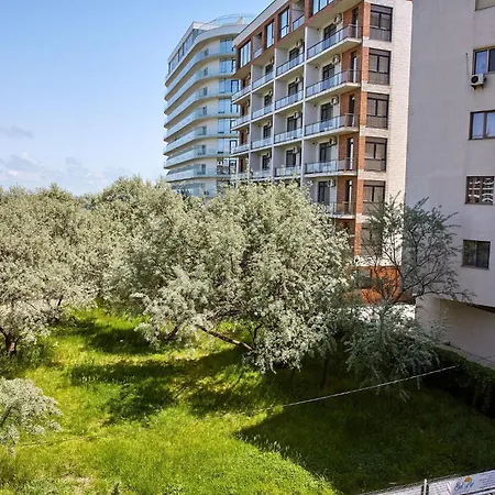 Bel Air Mamaia